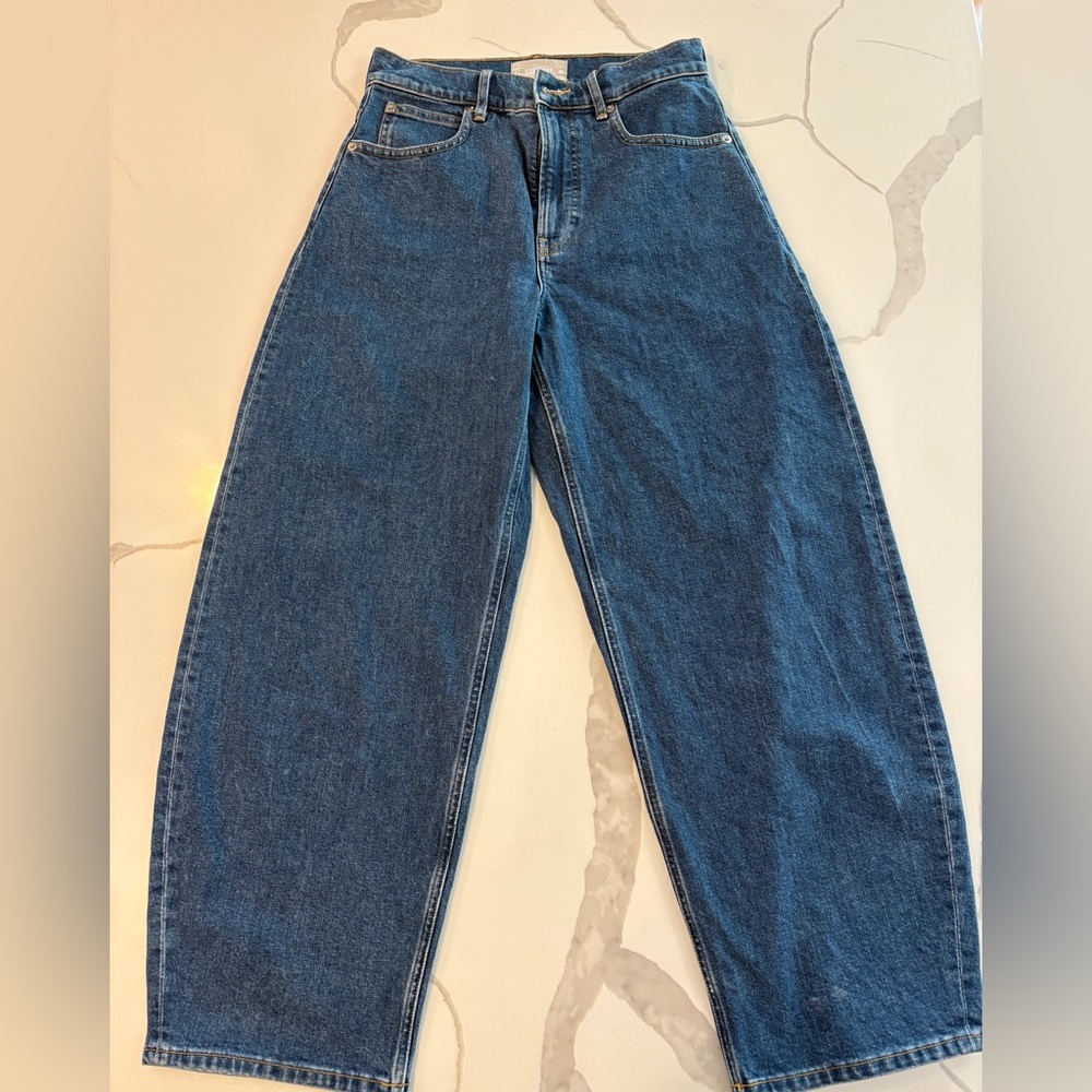 Everlane The Way High Barrel Jean, color New Blue, Size 28 L.